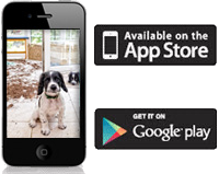 It's easy to get VueZone Mobile apps