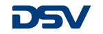 Logo - DSV, Inc.