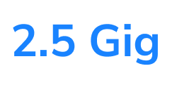 Blue-10Gig-Logo