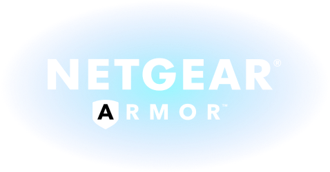 netgear armor