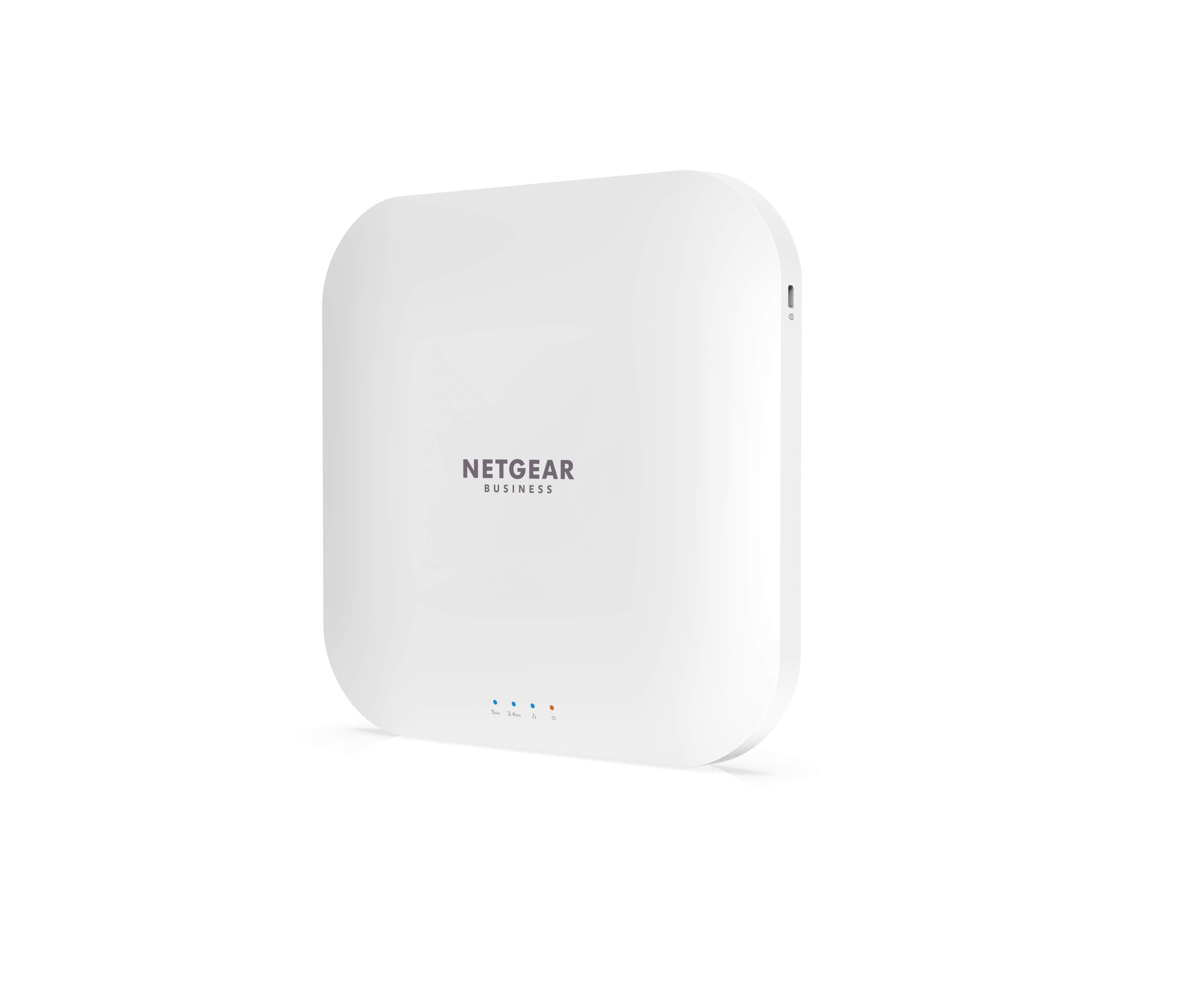 AX3600 WiFi 6 Access Point Dual Band - WAX218 | NETGEAR